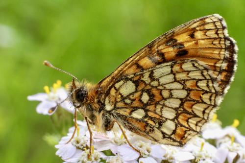 ������������