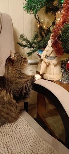 �� ���� ���� �������, ��� �����... 