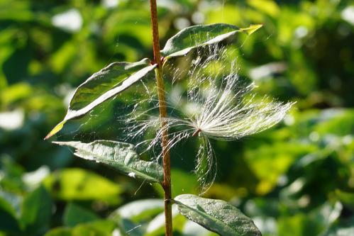 ���������� ...