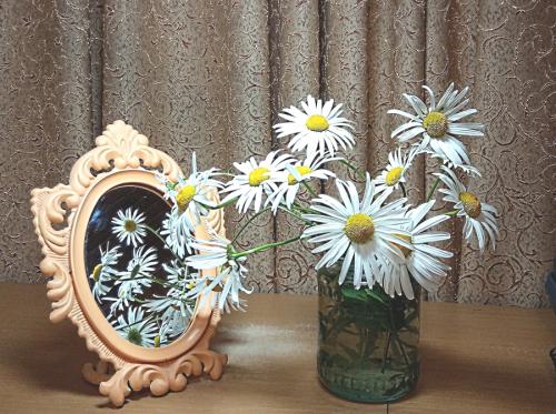 ����  ���,   ���������,  �����...