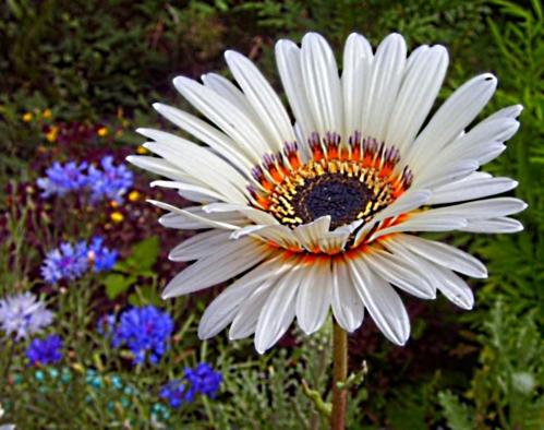 ��������   ������...