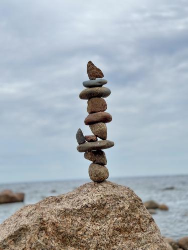 ����������