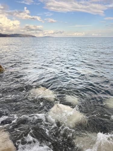 �, ����, ����