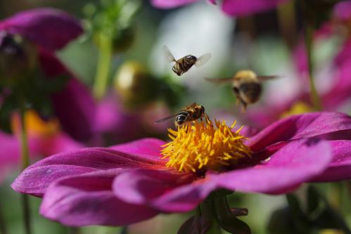 ��������...