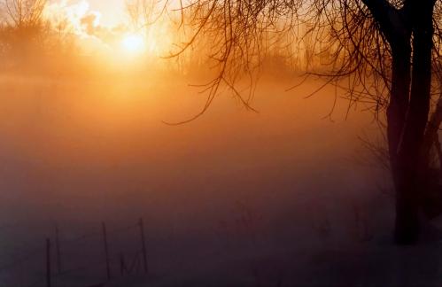 ������ �����