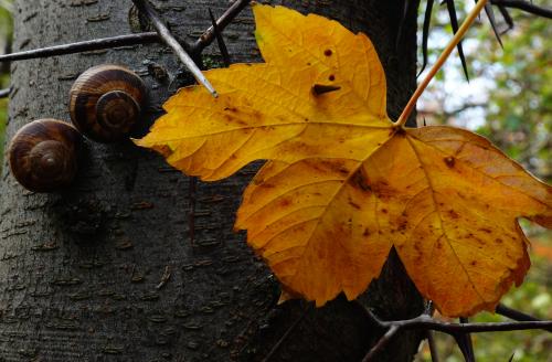 ������� �� ������