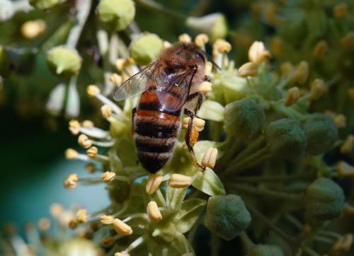 ��� ���-�� �����! 