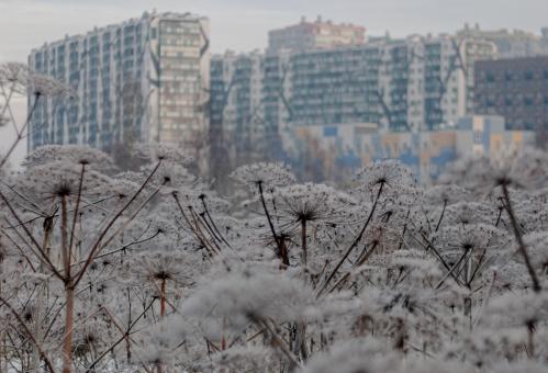 ����� ���� 