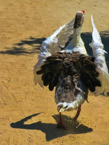 ����� �� �������������