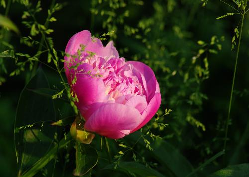 ���� � �����