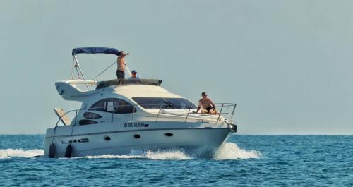 ������ ���������