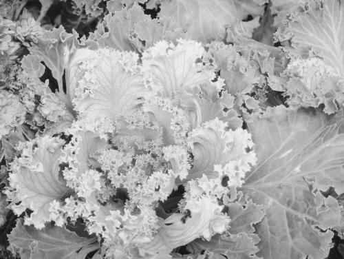 �����-����� ����