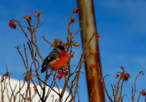 � �������� ���� 