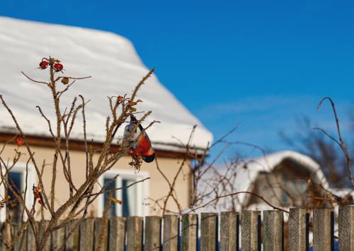 ����� �����