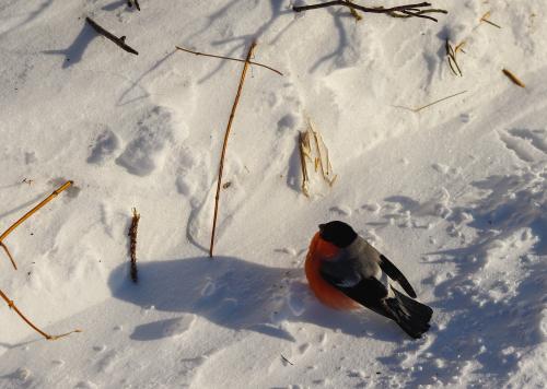 �������