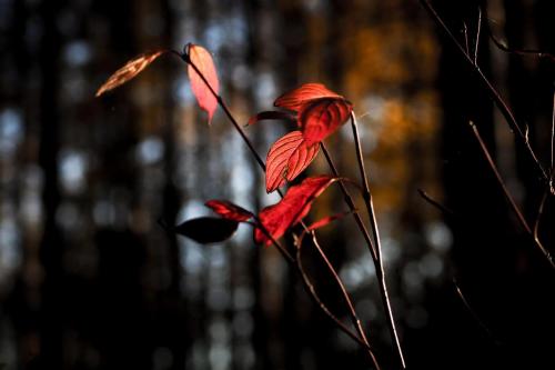 � ����� ��������� ������...