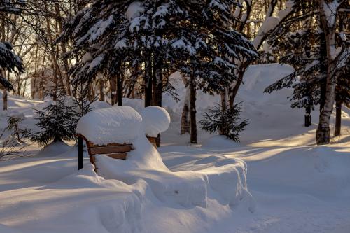 � ������� ��������