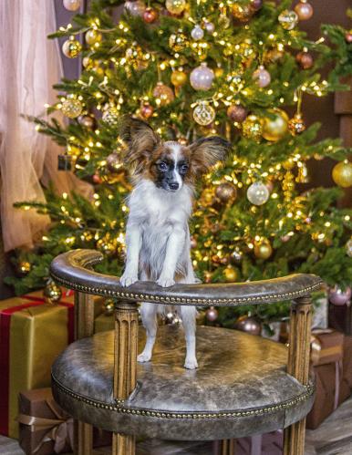 �������� � ��� ���.