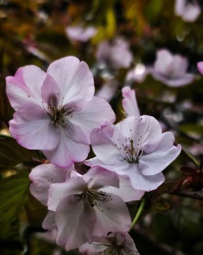 �������� ������. 