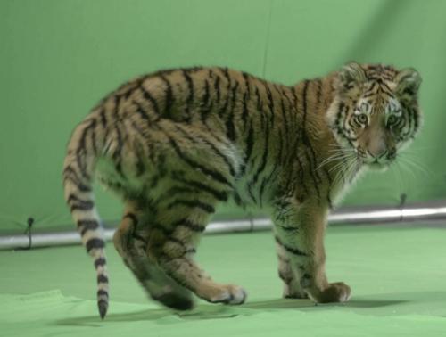 ׸ ����������? 