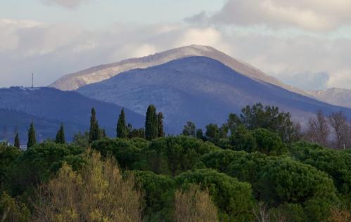 �������� ������