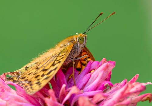 ������������� �������