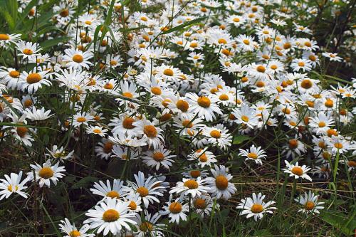 �������- �������� ���� ����...