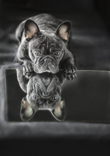 ��� �? ����. 