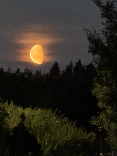 ���� �������