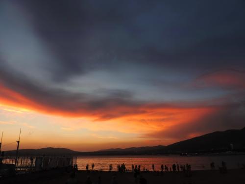 ������� ����