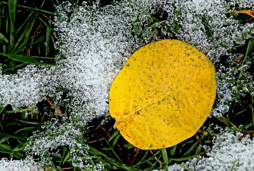 �����, ����, ������