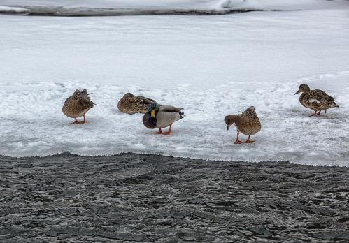 ��������� ������.