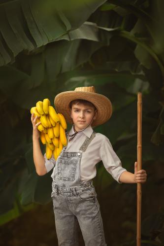 ���� ������