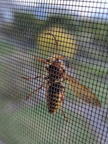 �������� � �����