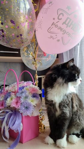 ������� �������� ������������