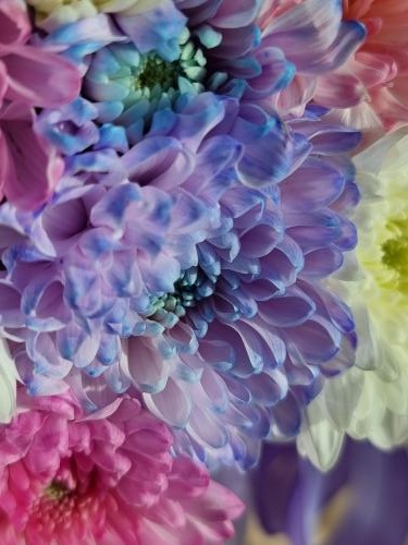 ��������� ����������