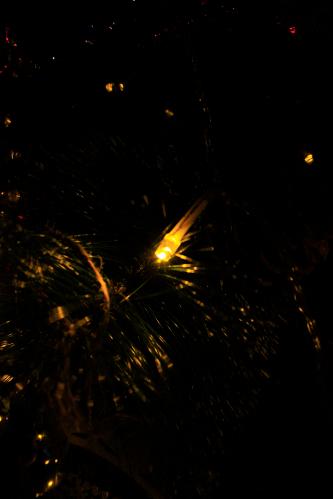 ���� ���������� 