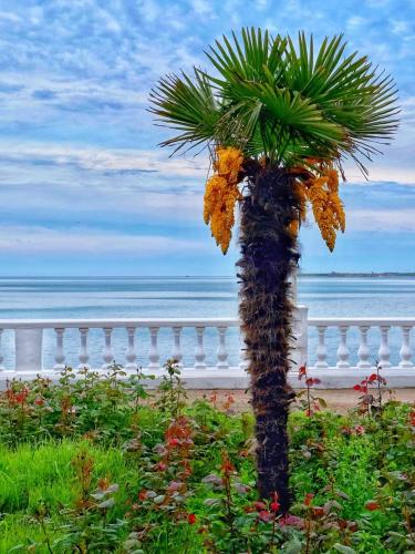 �������� ������