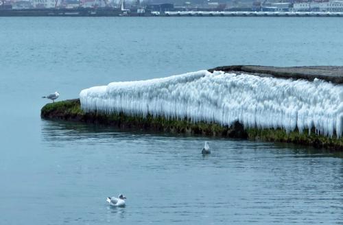 ������ ����