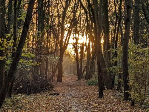 ���� � ����