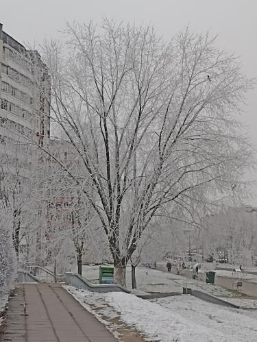 �������� ������ ������ 