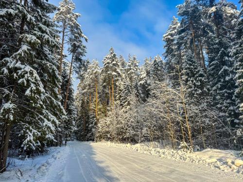 ������ ���