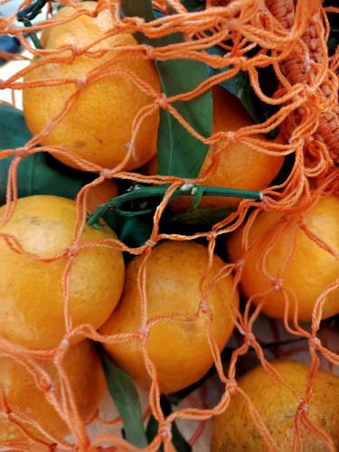 ��� �� ����� ��� ��� ��������