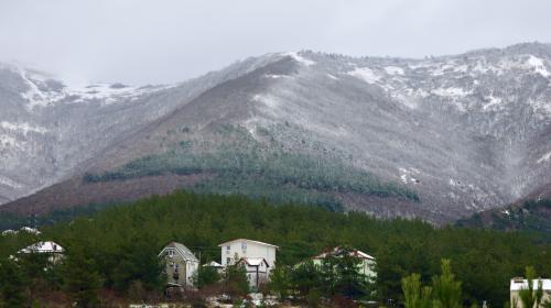 � �������� ��������