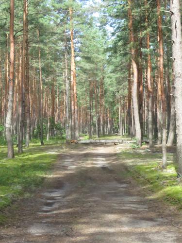 ������ � �������� ����