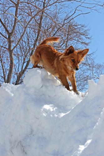 ���� ����