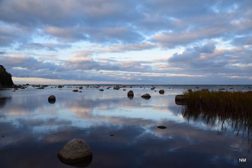 �� ������