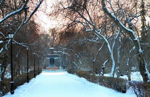 � ��������� �����