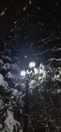 ����...������