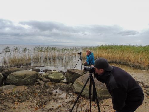 ������������